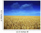 Co Louth,Ireland;Wheat Field Wall Mural