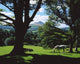 Powerscourt Estate, County Wicklow, Ireland Wall Mural