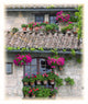 Flower Pots In Windows In Arles, Provence, France Wall Mural
