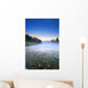 Sunrise And Early Morning Mist On Mountain River Wall Mural