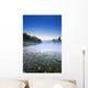 Sunrise And Early Morning Mist On Mountain River Wall Mural