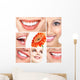 Smile Wall Mural