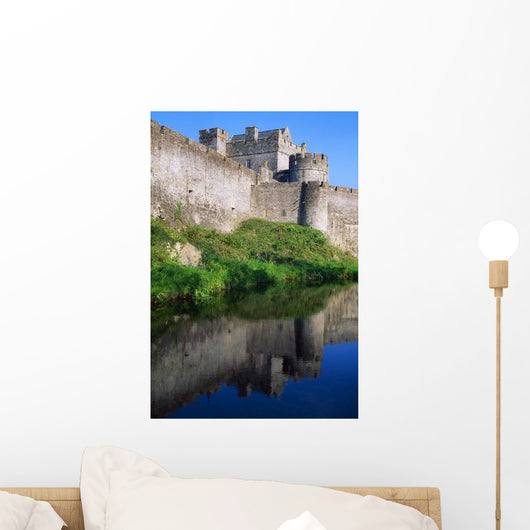 Cahir Castle, River Suir, County Tipperary, Ireland Wall Mural