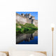 Cahir Castle, River Suir, County Tipperary, Ireland Wall Mural