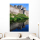 Cahir Castle, River Suir, County Tipperary, Ireland Wall Mural