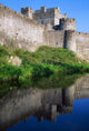 Cahir Castle, River Suir, County Tipperary, Ireland Wall Mural