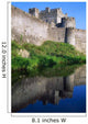 Cahir Castle, River Suir, County Tipperary, Ireland Wall Mural
