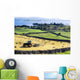 Hay Making, Lough Corrib, Co Galway, Ireland Wall Mural