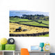 Hay Making, Lough Corrib, Co Galway, Ireland Wall Mural