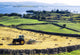 Hay Making, Lough Corrib, Co Galway, Ireland Wall Mural