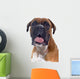 Head Shot Boxer Wall Decal