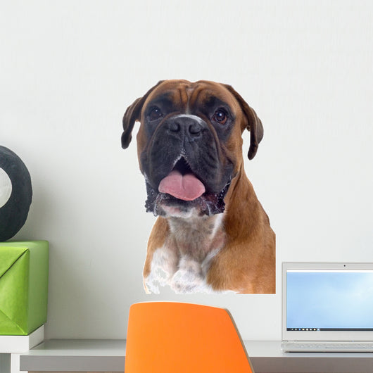 Head Shot Boxer Wall Decal