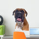 Head Shot Boxer Wall Decal