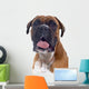Head Shot Boxer Wall Decal