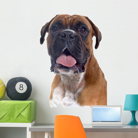 Head Shot Boxer Wall Decal