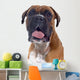 Head Shot Boxer Wall Decal