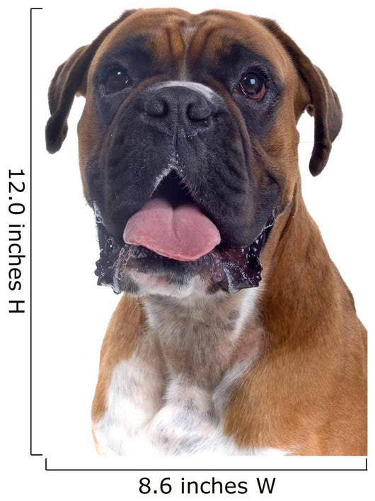 Head Shot Boxer Wall Decal
