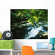Clare Glens, Co Clare, Ireland Wall Mural