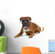 Brown Boxer Wall Decal