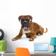 brown boxer Wall Decal