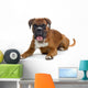 brown boxer Wall Decal