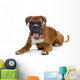 brown boxer Wall Decal