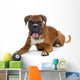 brown boxer Wall Decal