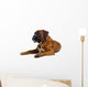 brown boxer Wall Decal