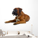 brown boxer Wall Decal