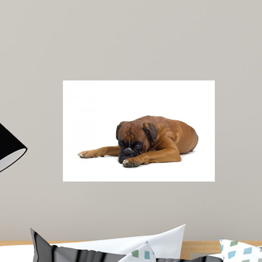 Boxer Wall Decal