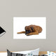 Boxer Wall Decal