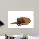 Boxer Wall Decal