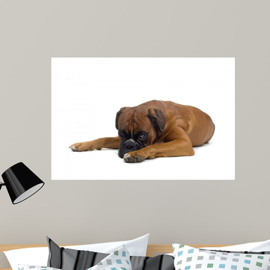 Boxer Wall Decal