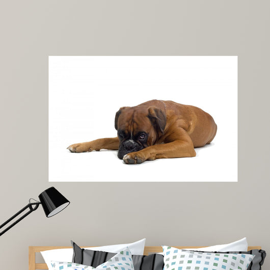 Boxer Wall Decal
