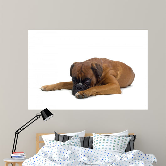 Boxer Wall Decal