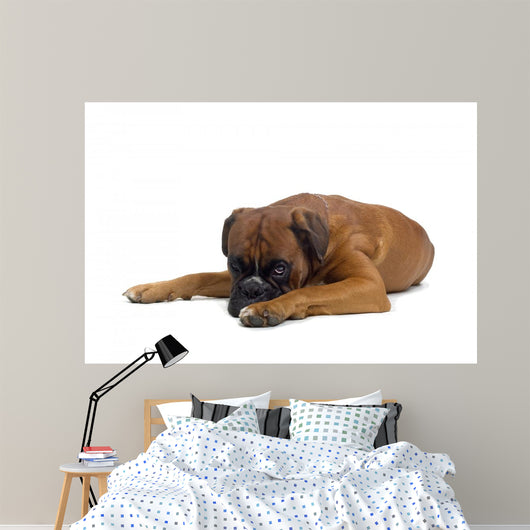 Boxer Wall Decal
