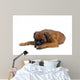 Boxer Wall Decal