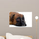 Brown Boxer Wall Decal