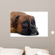 Brown Boxer Wall Decal Design 2