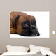 Brown Boxer Wall Decal Design 2
