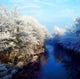 River Bann, Co Armagh, Ireland Wall Mural
