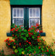 Cottage Window, Co Antrim, Ireland Wall Mural