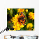 Red Admiral Butterfly On Tickseed Wall Mural