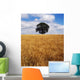 Ireland, Barley Field With Oak Tree Wall Mural
