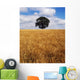 Ireland, Barley Field With Oak Tree Wall Mural