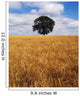 Ireland, Barley Field With Oak Tree Wall Mural
