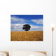 Ireland, Barley Field With Oak Tree Wall Mural