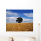 Ireland, Barley Field With Oak Tree Wall Mural
