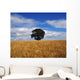 Ireland, Barley Field With Oak Tree Wall Mural