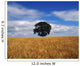 Ireland, Barley Field With Oak Tree Wall Mural